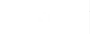 Nantha Associates Logo White