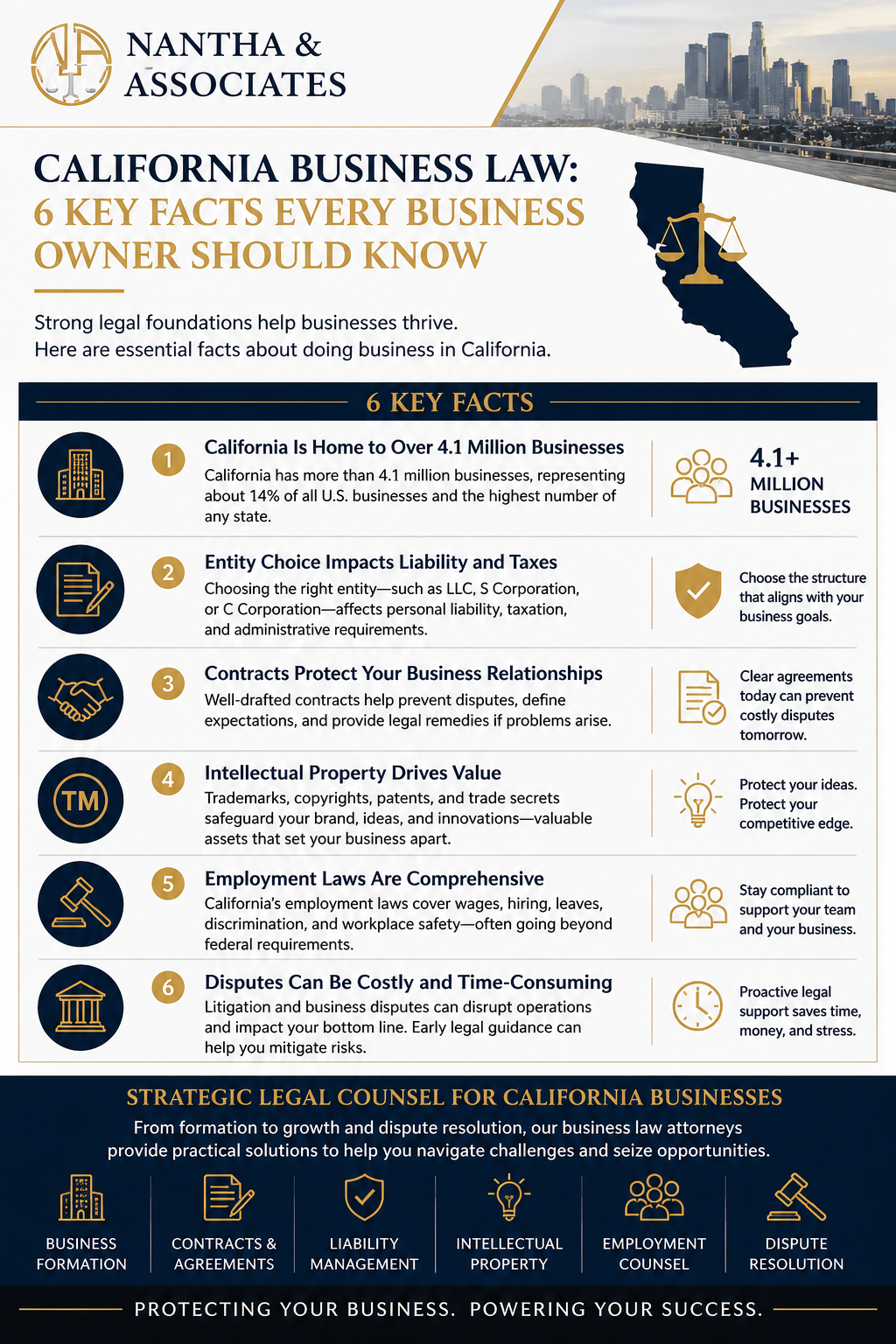 Business law Infographic